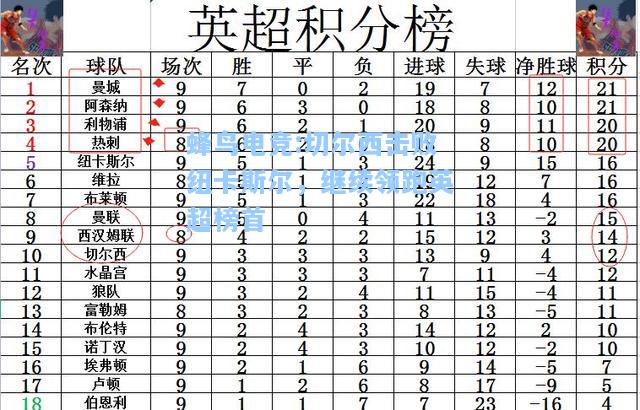 蜂鸟电竞:切尔西击败纽卡斯尔，继续领跑英超榜首