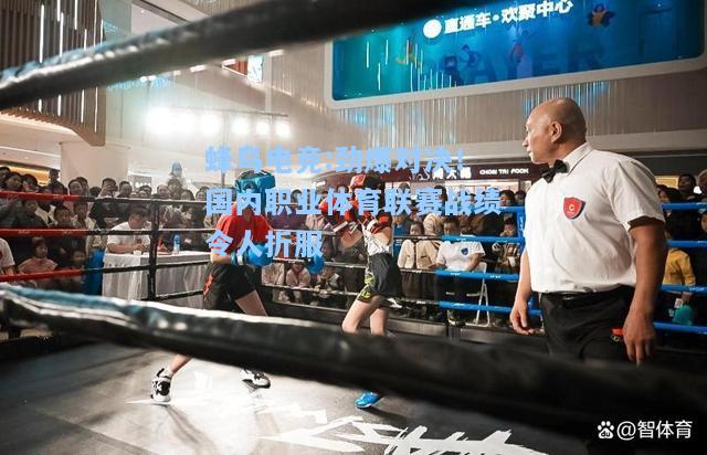 蜂鸟电竞:劲爆对决！国内职业体育联赛战绩令人折服