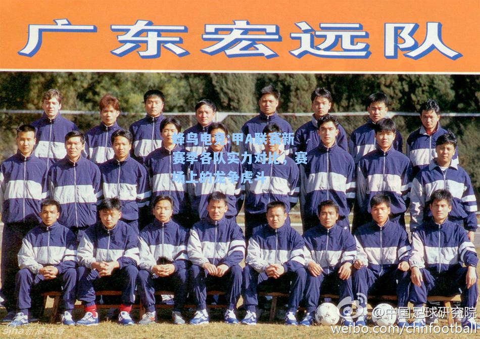 蜂鸟电竞:甲A联赛新赛季各队实力对比，赛场上的龙争虎斗