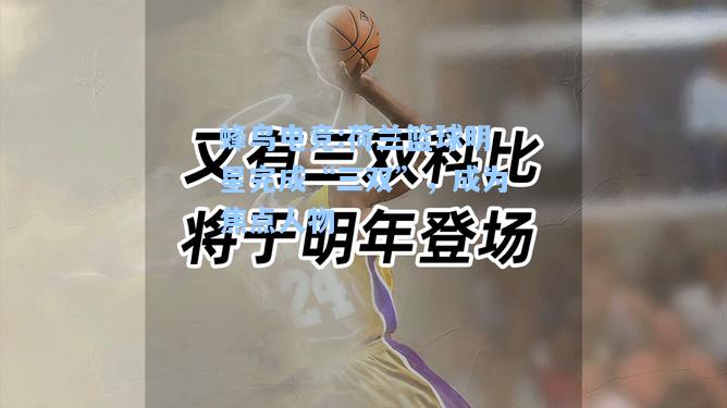 蜂鸟电竞:荷兰篮球明星完成“三双”，成为焦点人物