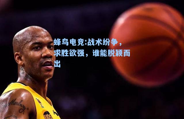 蜂鸟电竞:战术纷争，求胜欲强，谁能脱颖而出