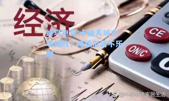 蜂鸟电竞:卡迪夫城主场惜败，降级形势不乐观