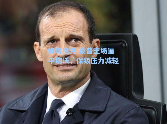 蜂鸟电竞:桑普主场逼平切沃，保级压力减轻
