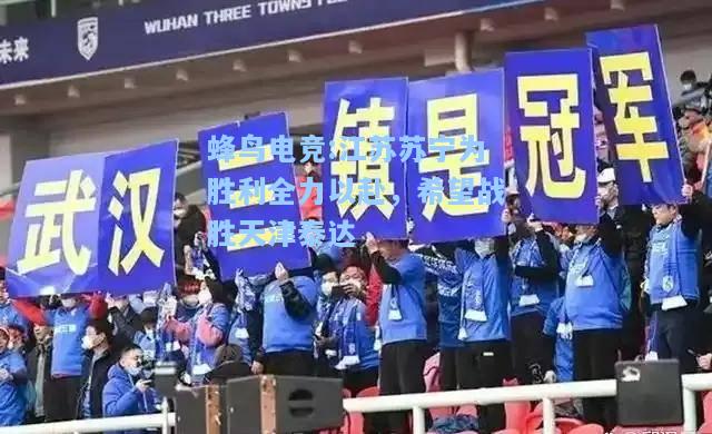 蜂鸟电竞:江苏苏宁为胜利全力以赴，希望战胜天津泰达